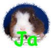 Ja