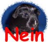 Nein